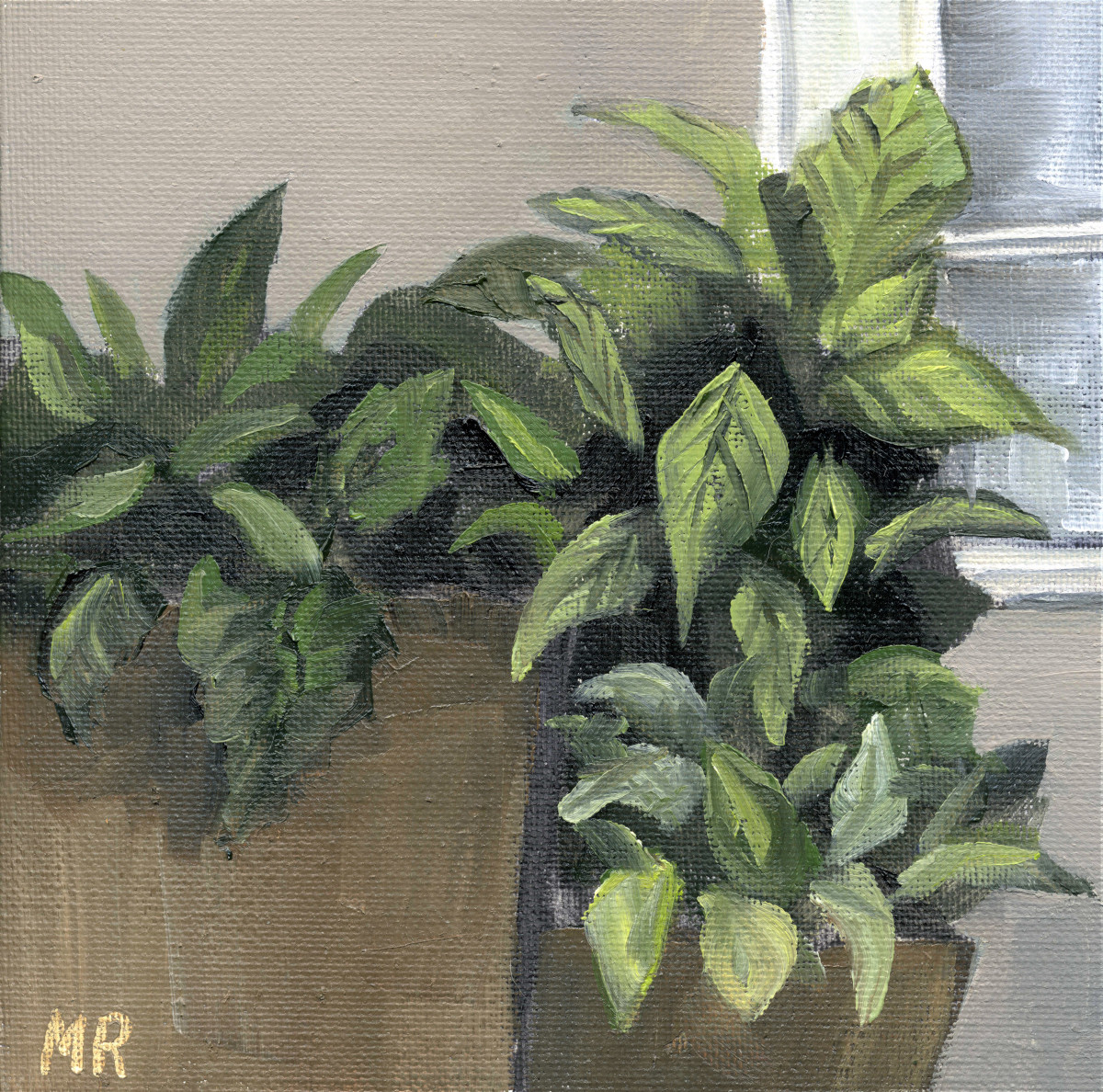 Plants By The Window
